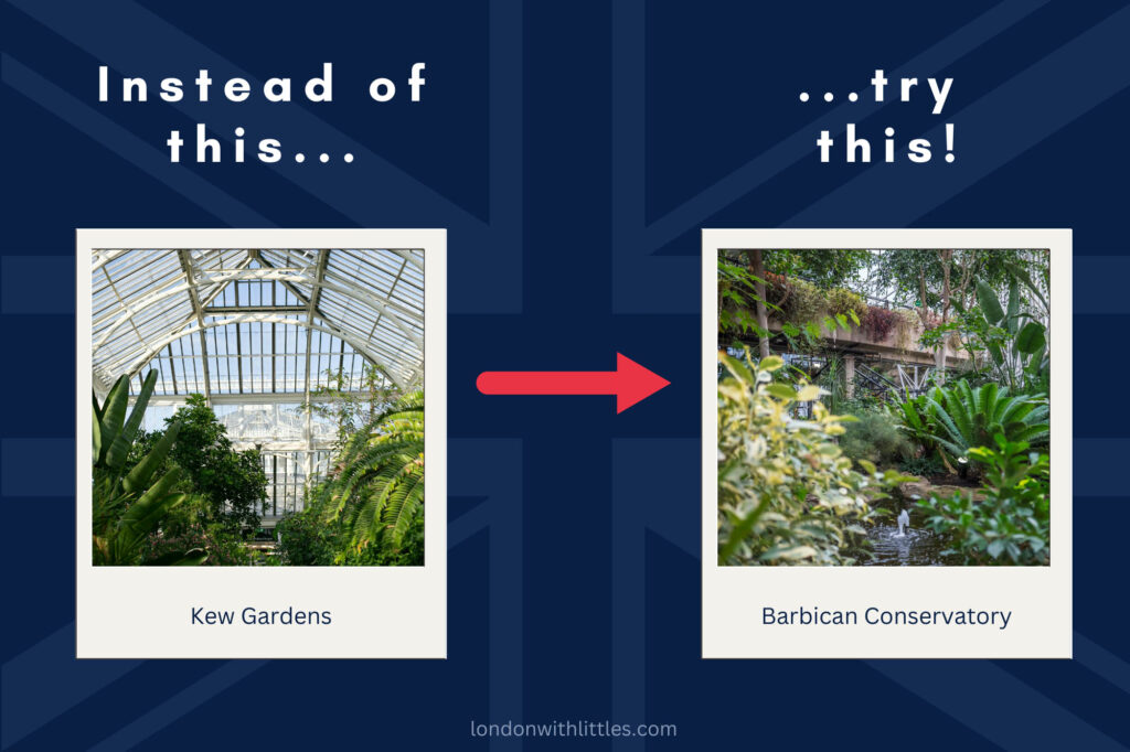 An image illustrating a free alternative to Kew Gardens in London in the form of the Barbican Conservatory