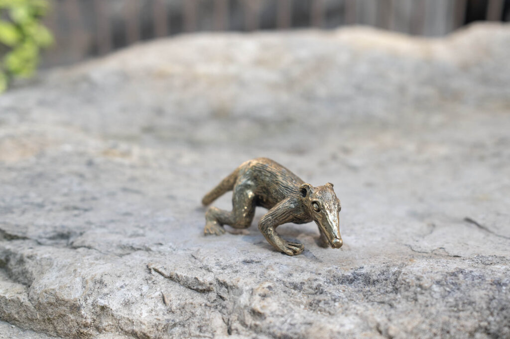 A photo of the newly opened Natural History Museum Gardens - the Evolution Gardens with a bronze small furry animal perched on a rock.