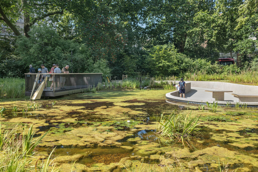 A photo of the wildlife pond and viewing point at the newly opened Natural History Museum Gardens - the Nature Discovery Gardens.