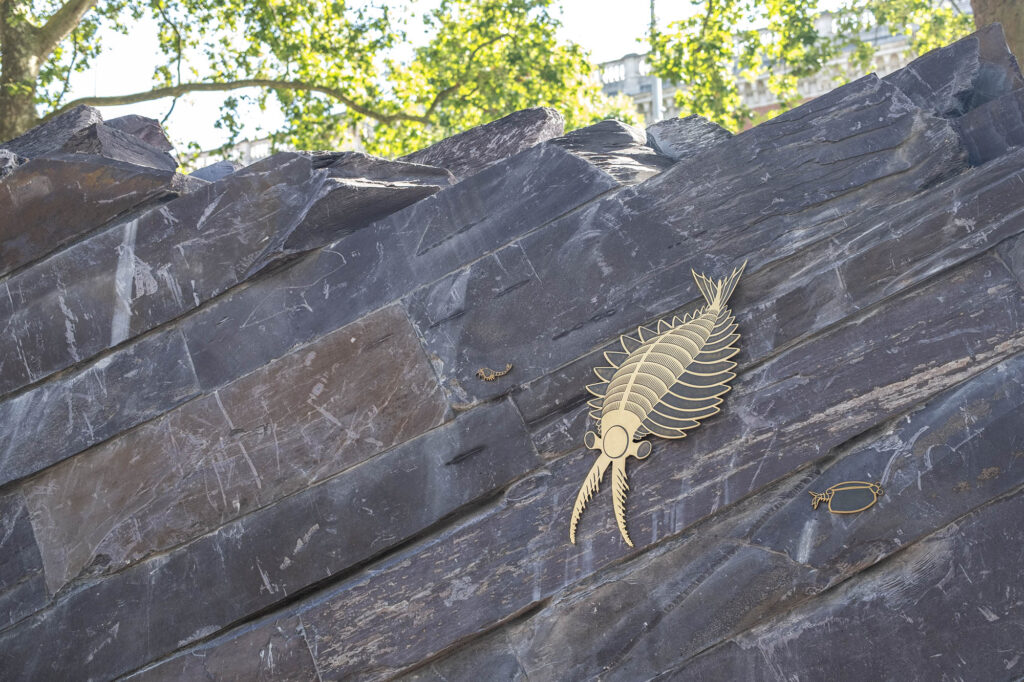 A photo of the newly opened Natural History Museum Gardens - the Evolution Gardens.