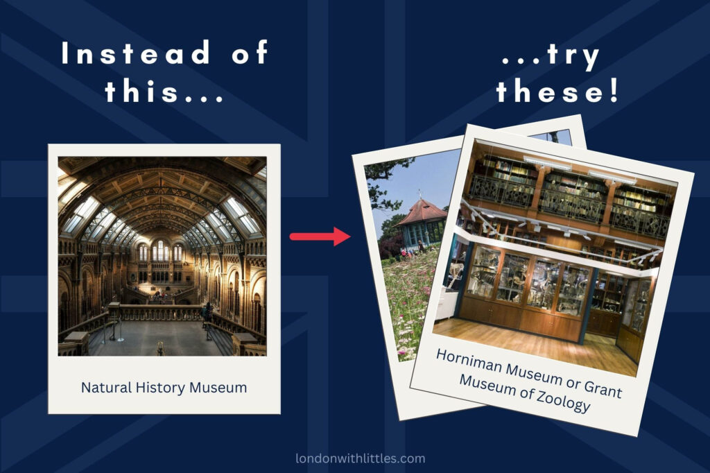 An image illustrating quieter alternatives to The Natural History Museum in London in the form of the Horniman Museum or the Grant Museum of Zoology