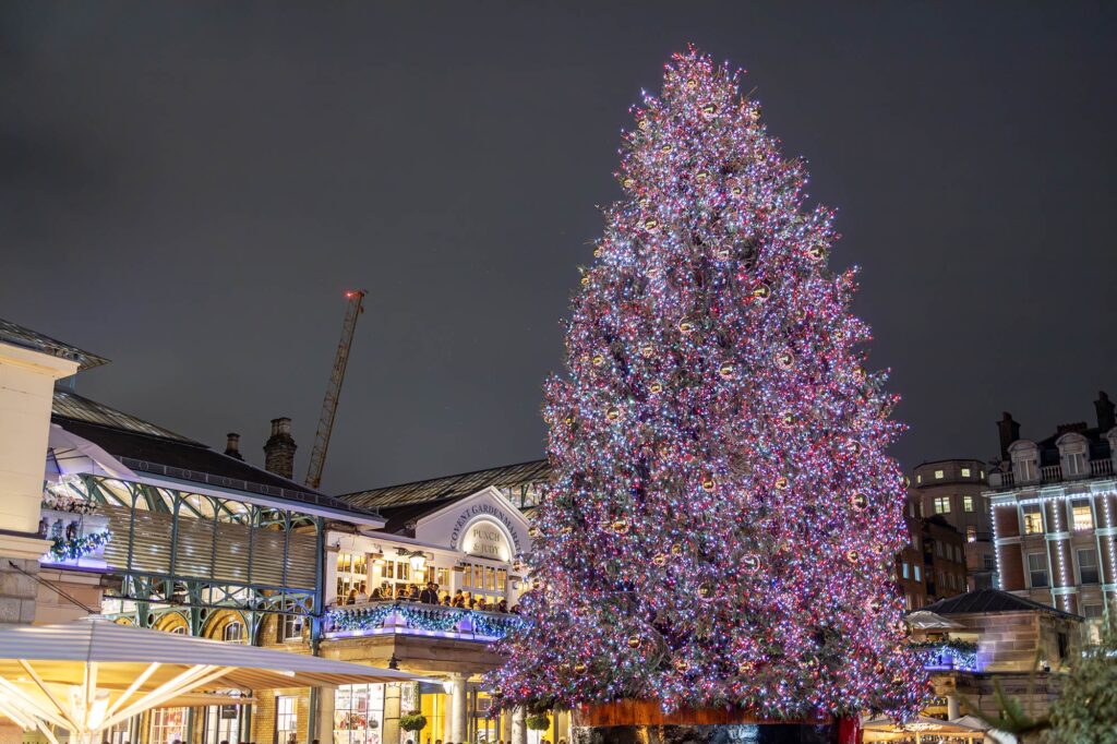 Photo of the Covent Garden Christmas tree at night with Covent Garden in the background. Photo from 2024.