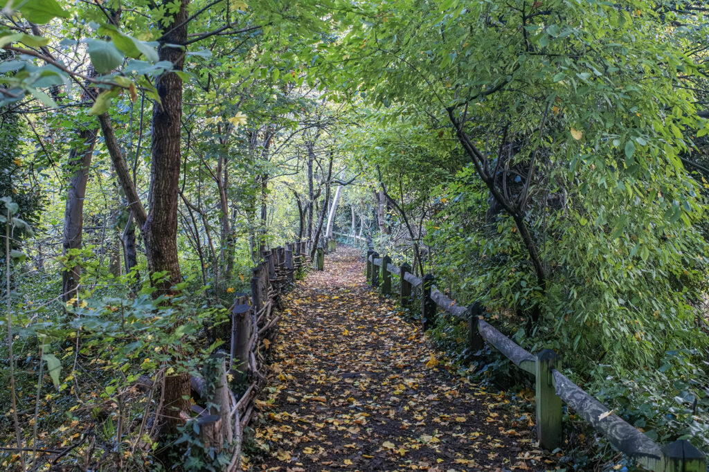 Photo of a path in Camley Street Natural Park in King's Cross