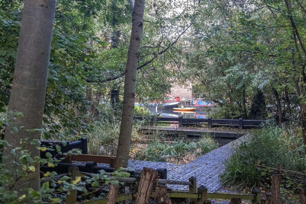 Photo of the pond area at Camley Street Natural Park in King's Cross with Regent's Canal in the background